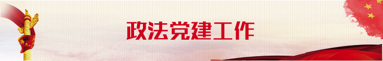 政法党建工作