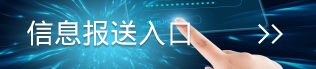 信息报送