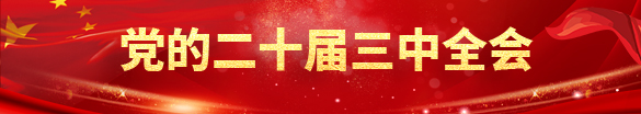 党的二十届三中全会
